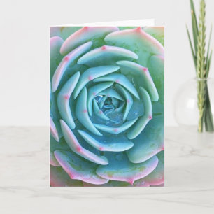 Carte de voeux Echeveria Imbricata Succulent