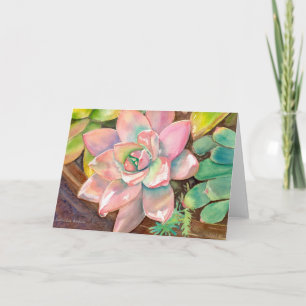 Carte de voeux Echeveria rose par Debra Lee Baldwi