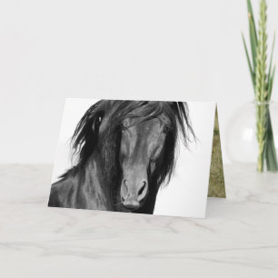 Carte de voeux El Caballo Negro Horse