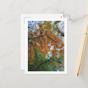 Carte de vœux élégante d'automne
