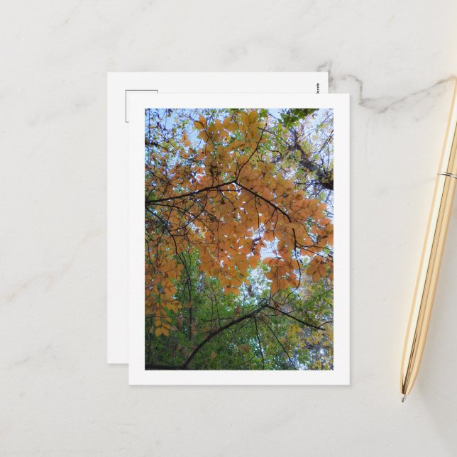 Carte de vœux élégante d'automne (Devant/Arrière en situation)