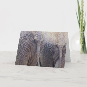 Carte de vœux Éléphant