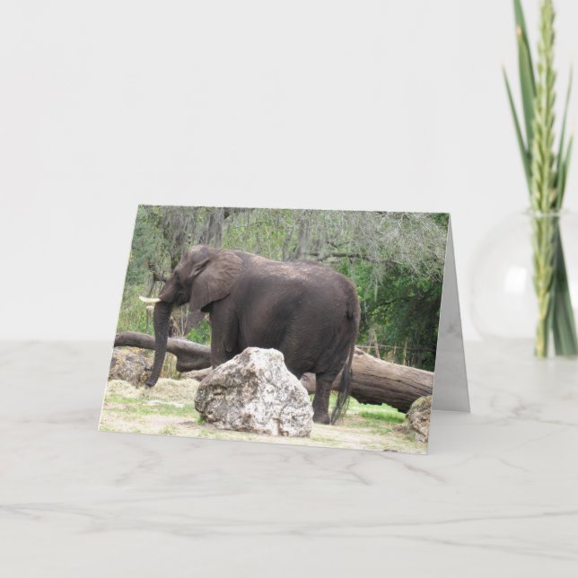 Carte de voeux éléphant (0390) (Devant)