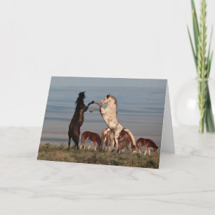Carte de voeux Elevage Stallions