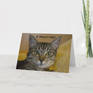 Carte de voeux : Elle n'était pas moi chat