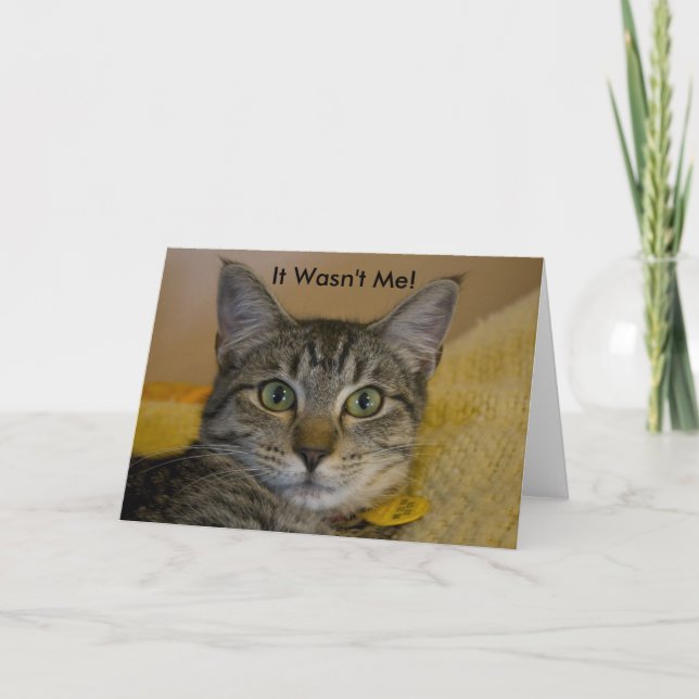 Carte de voeux :  Elle n'était pas moi chat (Devant)