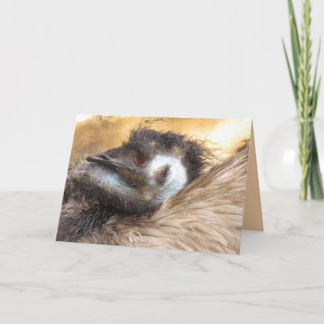 Carte de voeux Emu Bird (Devant)