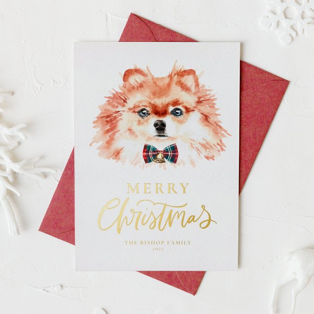 Carte De Vœux En Aluminium Aquarelle festive Chien roumain Joyeux Noël (Créateur téléchargé)