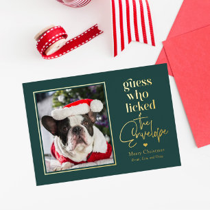 Carte De Vœux En Aluminium Carte de Noël utile pour animaux en papier alu