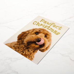 Carte De Vœux En Aluminium Carte photo en aluminium double face Noël chien dr