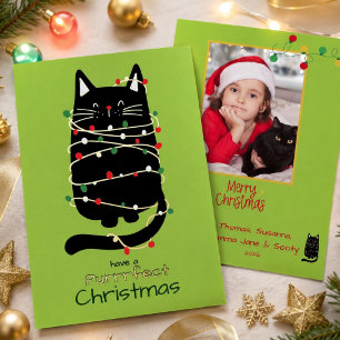 Carte De Vœux En Aluminium Chat Drôle en Lumières Photo Parfaite de Noël en O