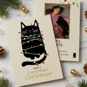 Carte De Vœux En Aluminium Chat drôle en lumières Photo Purr parfaite Noël Or
