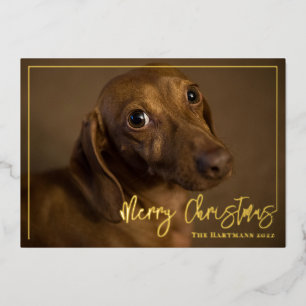 Carte De Vœux En Aluminium Chien de Dachshund avec Stocker Joyeux Noël Photo