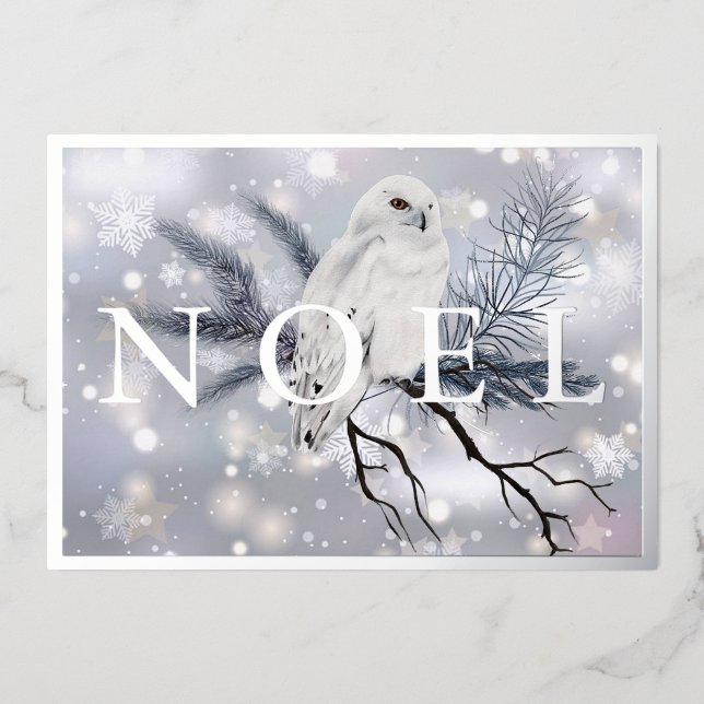 Carte De Vœux En Aluminium Chouette neige NOEL personnalisé Noël (Recto)