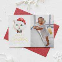 Cute britannique Shorthair Cat Père Noël Photo Noë