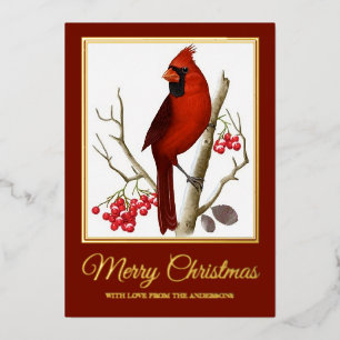 Carte De Vœux En Aluminium Élégant Noël Cardinal Rouge Oiseau