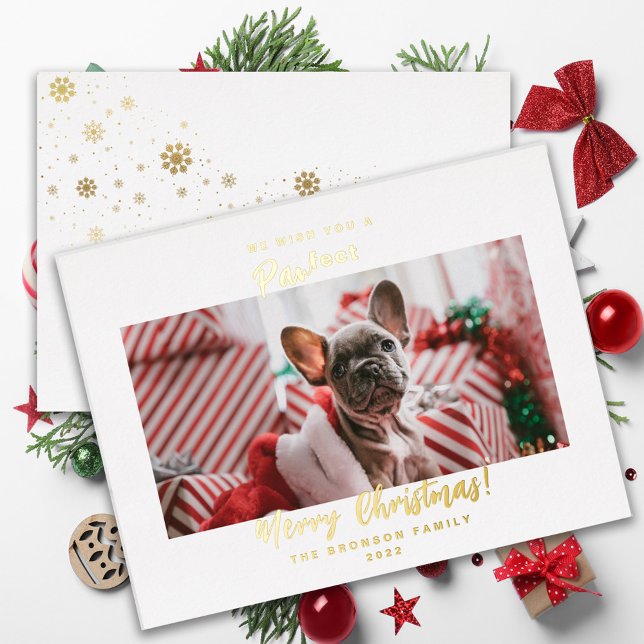 Carte De Vœux En Aluminium Festif Animaux de compagnie Photo Joyeux Noël (Créateur téléchargé)