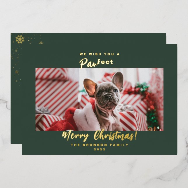Carte De Vœux En Aluminium Festif Animaux de compagnie Photo Joyeux Noël Foil (Recto/Verso)
