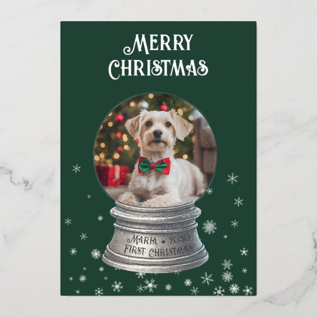 Carte De Vœux En Aluminium Foil Snow Globe Photo Holiday Card (Recto)