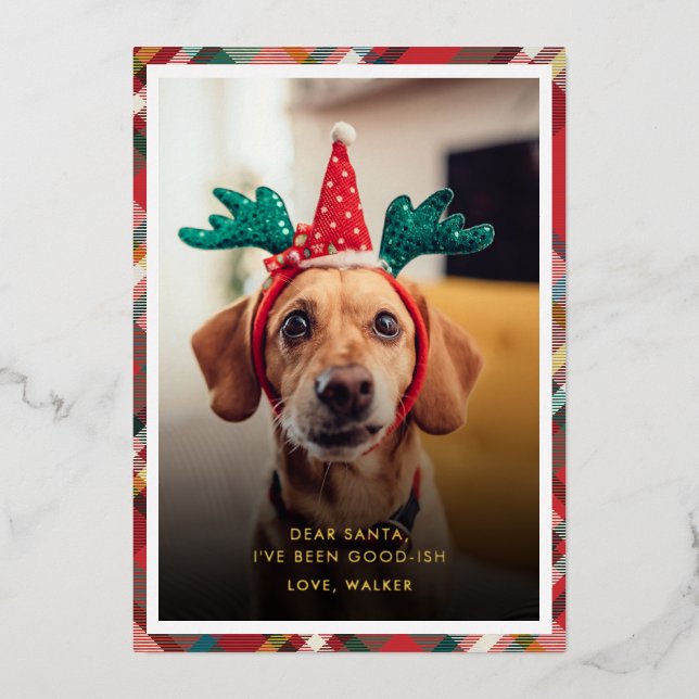 Carte De Vœux En Aluminium Funny Plaid Dog Pet Photo Christmas (Recto)