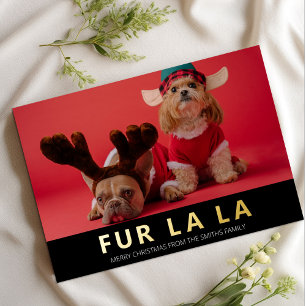 Carte De Vœux En Aluminium Fur La La Gold Black Modern Pet Photo de Noël