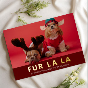 Carte De Vœux En Aluminium Fur La La Red Gold Modern Pet Photo de Noël