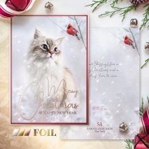 Histoires d'hiver, Kitten & Red Cardinal Bird en n