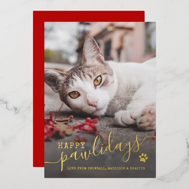 Carte De Vœux En Aluminium Joyeuses Fêtes de fin d'année Photo de chat Chien  (Recto/Verso)
