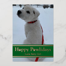 Joyeuses fêtes de Pawlidays