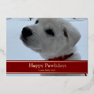 Carte De Vœux En Aluminium Joyeuses Pawlidays