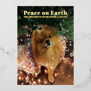 Carte De Vœux En Aluminium Joyeux Noël Pomeranian Chien Paix sur Terre