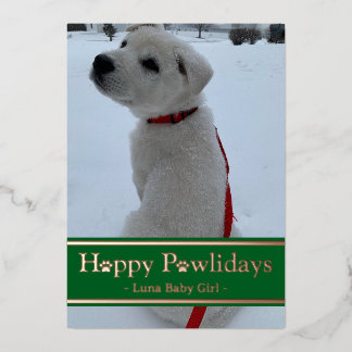 Carte De Vœux En Aluminium Joyeux Pawlidays