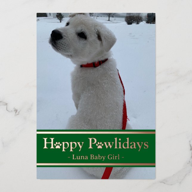 Carte De Vœux En Aluminium Joyeux Pawlidays (Recto)