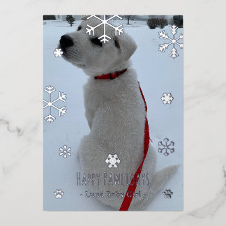 Carte De Vœux En Aluminium Joyeux Pawlidays