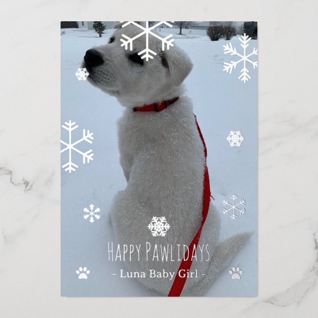 Carte De Vœux En Aluminium Joyeux Pawlidays (Recto)