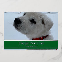 Joyeux Pawlidays