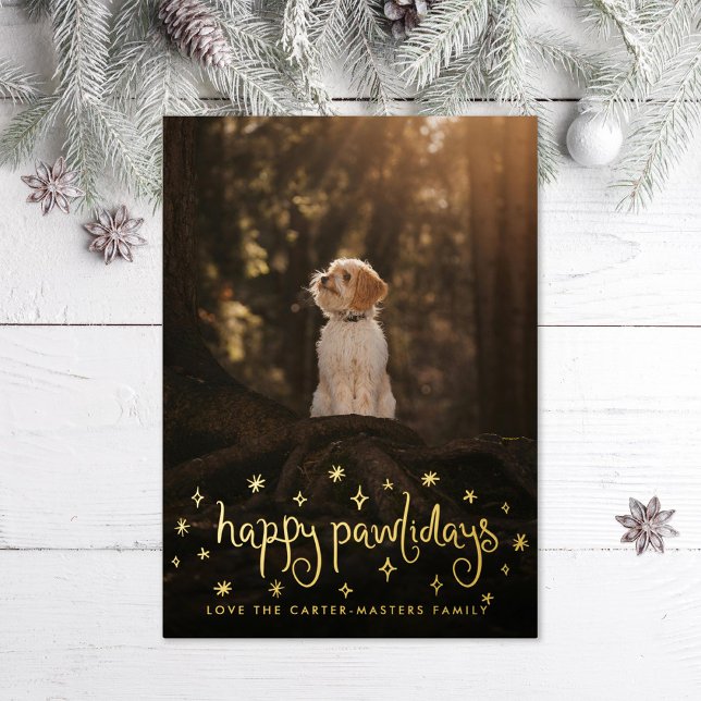 Carte De Vœux En Aluminium Joyeux Pawlidays Fun Stars Chien Photo (Créateur téléchargé)