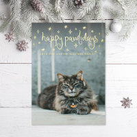 Joyeux Pawlidays Fun Stars Photo Chat