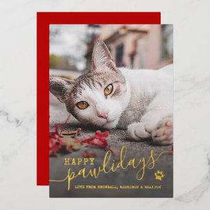 Carte De Vœux En Aluminium Joyeux Pawlidays Photo de chat Animalerie Rouge No