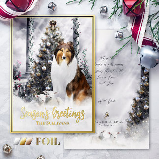 Carte De Vœux En Aluminium Magie de Noël, Sable Rough Collie Chien & Agneaux