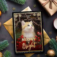 Meowy & Bright Photo de chat mignon & Flocons de n