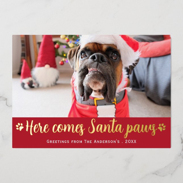 Carte De Vœux En Aluminium Mignonne Voici La Photo Père Noël Paws Chien Photo (Recto)