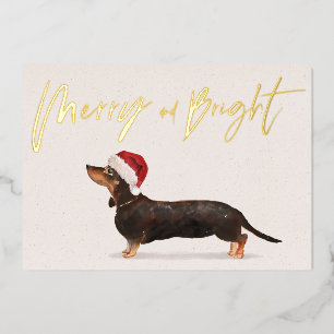 Carte De Vœux En Aluminium Noël Joyeux chien Dachshund