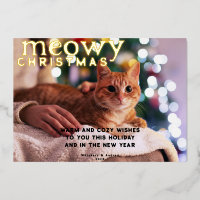 Noël Meowy