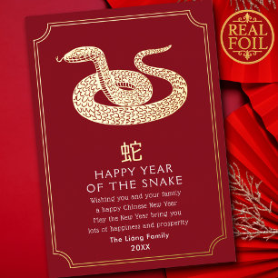 Carte De Vœux En Aluminium Nouvel An Chinois Serpent