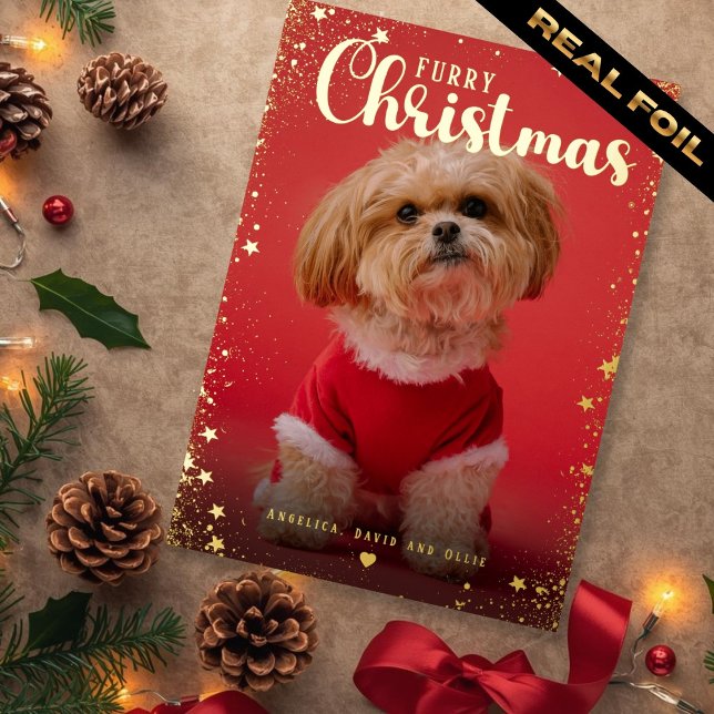 Carte De Vœux En Aluminium Pet Photo Golden Star Frame  (Pet Photo Golden Star Frame Foil Holiday Card)