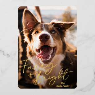 Carte De Vœux En Aluminium Photo de chien mignon Noël moderne