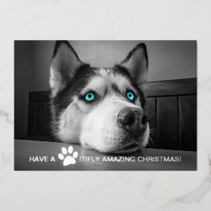 Carte De Vœux En Aluminium Photo de chien personnalisé de Noël Extraordinaire