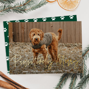 Carte De Vœux En Aluminium Photo de chien vert joyeux