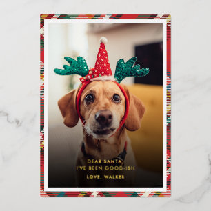 Carte De Vœux En Aluminium Photo de Noël de chien à carreaux drôle